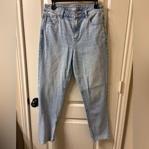 AE Ankle Straight Jean 8R